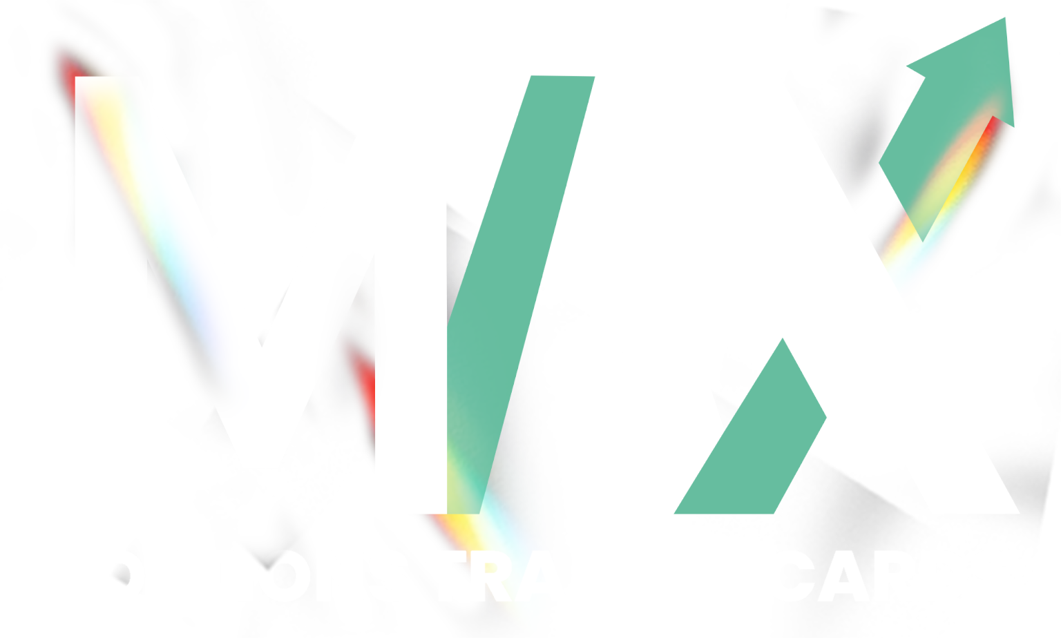 MAX Options Trading Cards